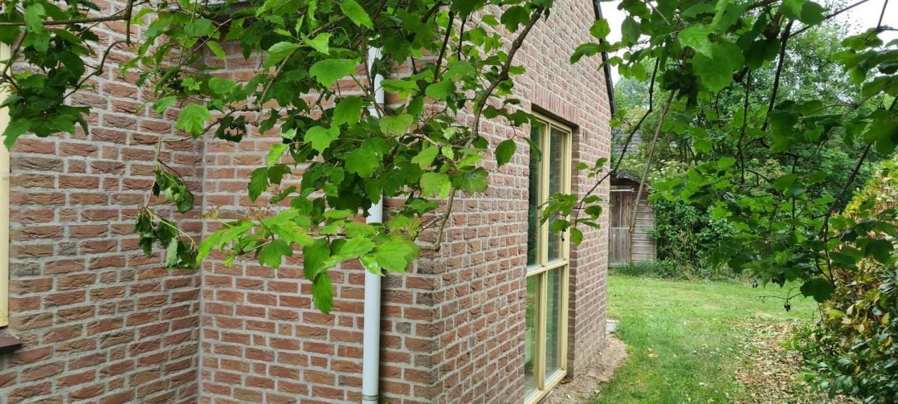 Forestview 'Queenstown' 6 Pers Very Child-Friendly By Kawatea Cottages (Adults Only) Ewijk Esterno foto