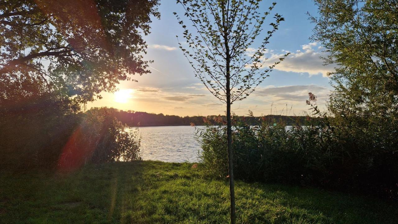 Forestview 'Queenstown' 6 Pers Very Child-Friendly By Kawatea Cottages (Adults Only) Ewijk Esterno foto
