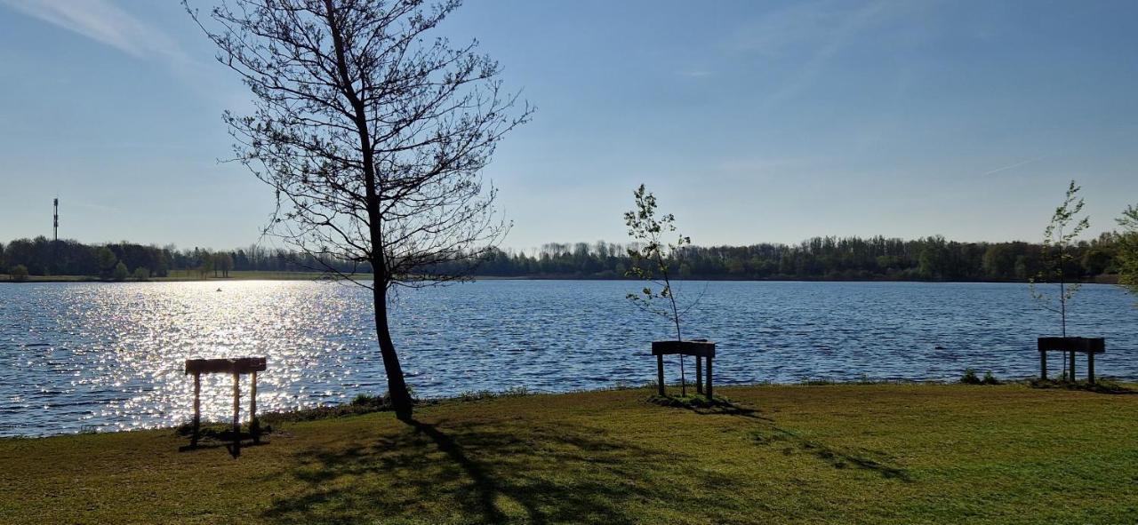 Forestview 'Queenstown' 6 Pers Very Child-Friendly By Kawatea Cottages (Adults Only) Ewijk Esterno foto