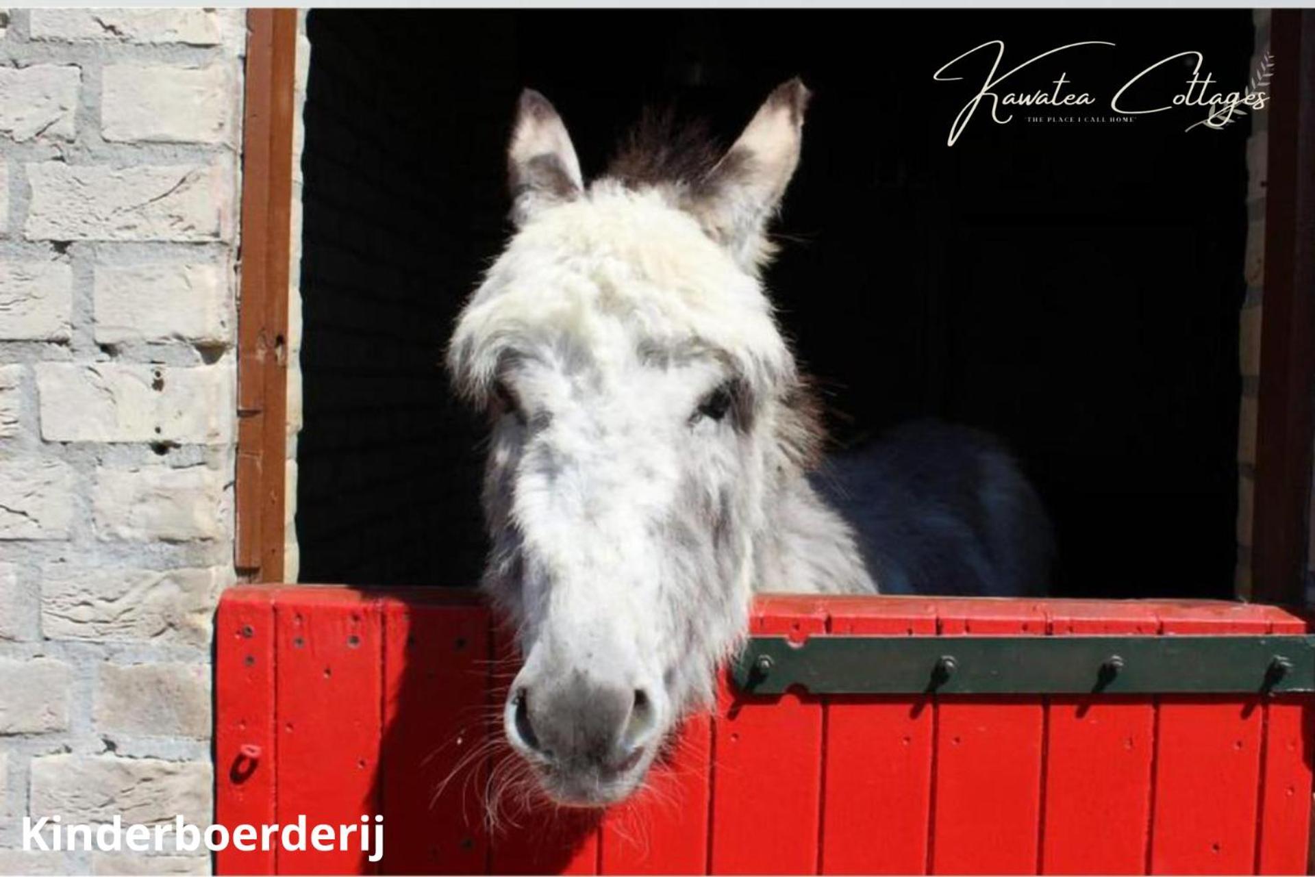 Forestview 'Queenstown' 6 Pers Very Child-Friendly By Kawatea Cottages (Adults Only) Ewijk Esterno foto